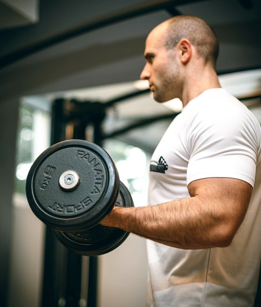 gym, sport, fitness, biceps, arms, workout, dumbbell, weights, athlete, muscles, bodybuilding, gym, gym, gym, gym, gym